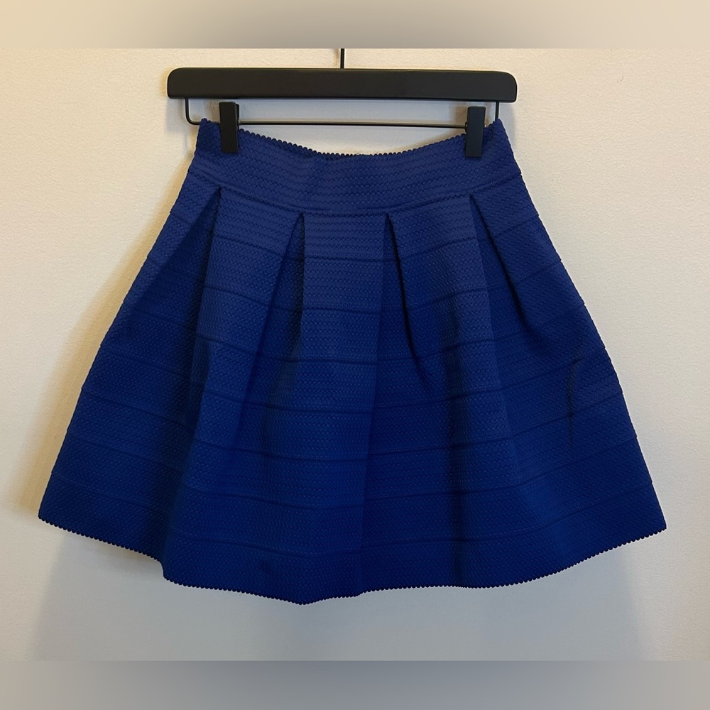 NWOT Express Pleated Skirt
